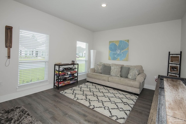 living room with baseboards and dark wood-type flooring