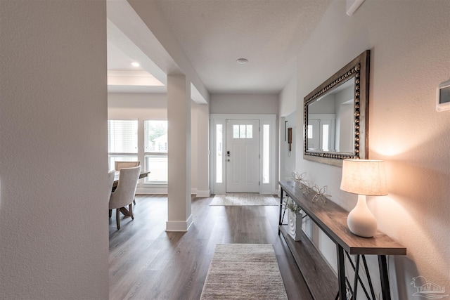 entryway featuring a tray ceiling and hardwood / wood-style flooring