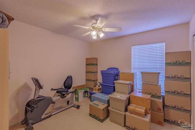 storage room featuring ceiling fan