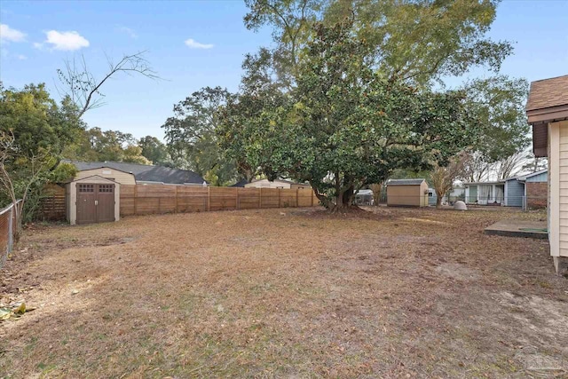 view of yard featuring a shed