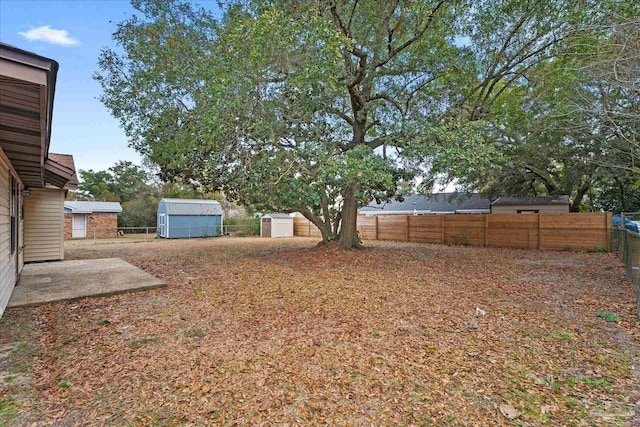 view of yard featuring a shed