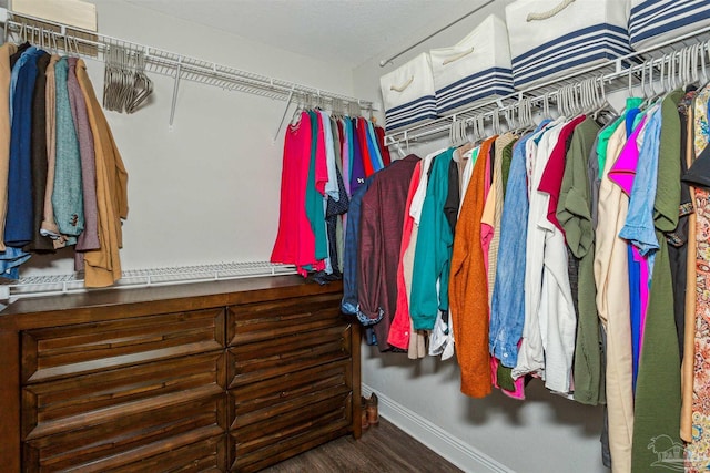 walk in closet featuring hardwood / wood-style floors