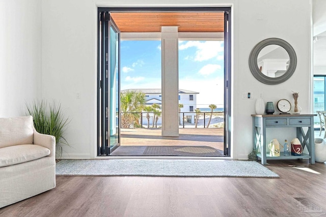 entryway with hardwood / wood-style floors