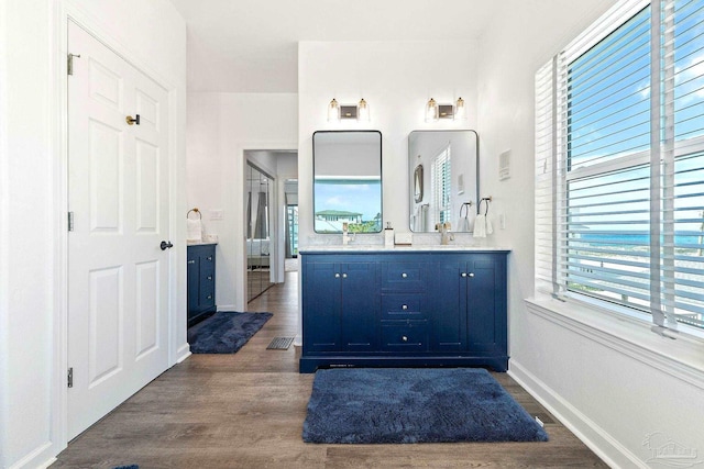 bathroom featuring wood-type flooring and vanity