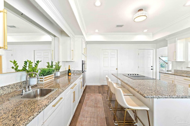 kitchen with sink, stone counters, dark hardwood / wood-style floors, white cabinets, and a raised ceiling