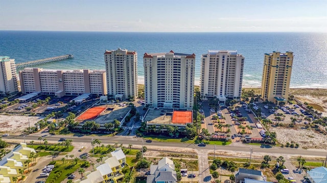 aerial view with a water view and a view of the beach