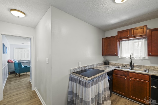 kitchen with light wood-style flooring, black electric cooktop, a textured ceiling, light countertops, and a sink