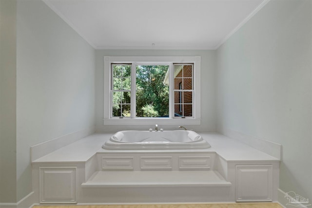 bathroom with a bathing tub and ornamental molding