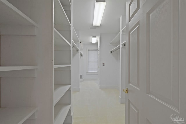 spacious closet with light colored carpet