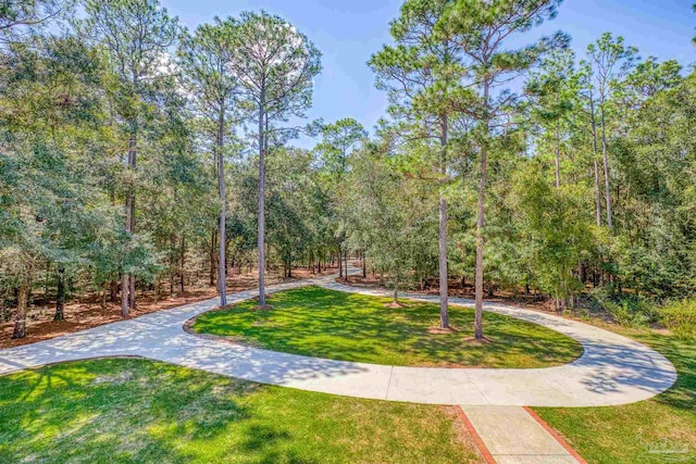 view of property's community featuring a lawn