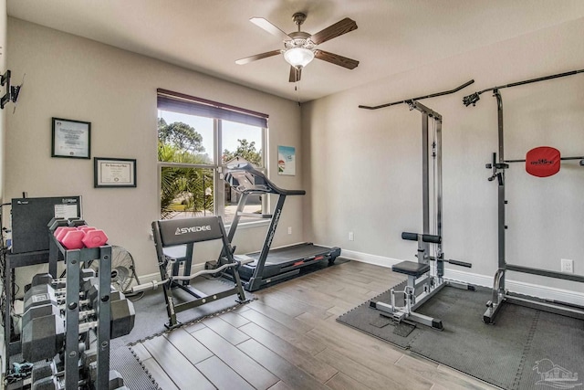 exercise room featuring ceiling fan and hardwood / wood-style floors