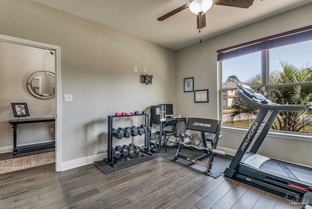 workout area featuring ceiling fan and wood-type flooring