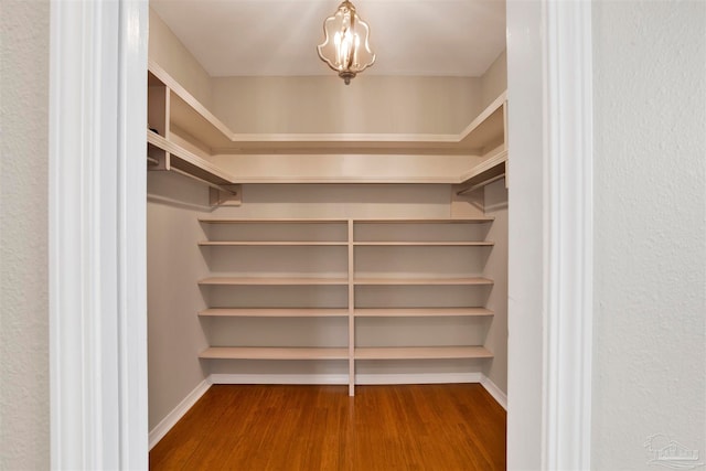 walk in closet featuring hardwood / wood-style flooring