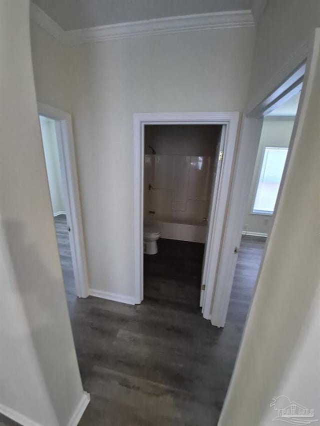 2008 Augusta Ave, Pensacola, FL 32507 - hall with dark wood-style floors, crown molding, and baseboards