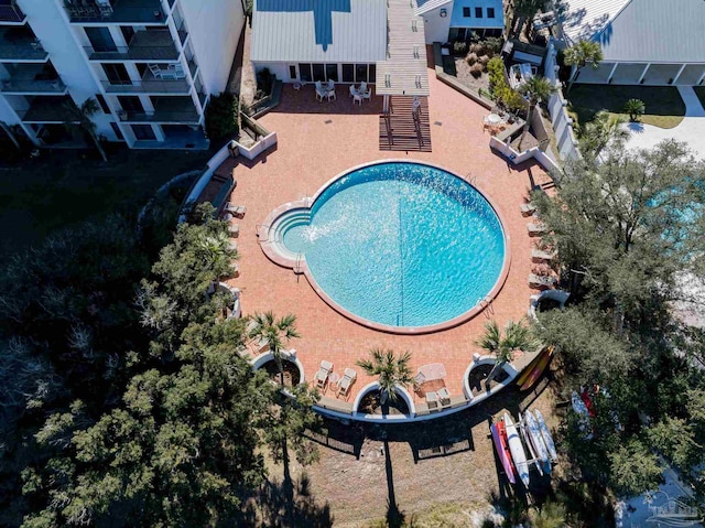 view of pool featuring a patio