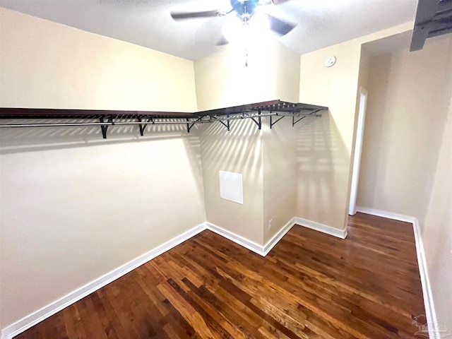 walk in closet with ceiling fan and dark hardwood / wood-style flooring