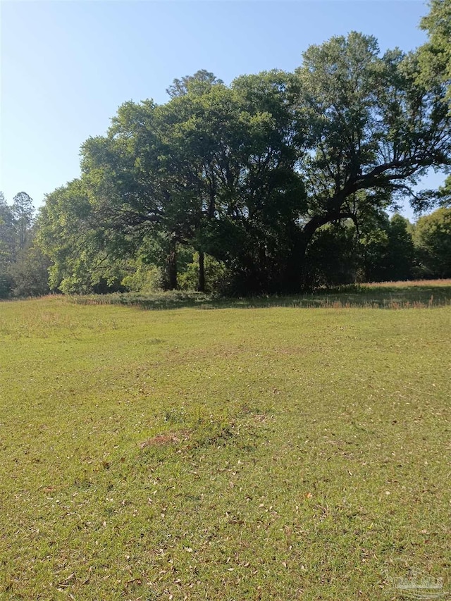 4801 Berryhill Rd, Milton, FL 32570 - view of yard