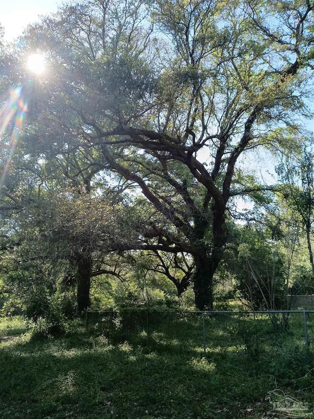 4801 Berryhill Rd, Milton, FL 32570 - view of local wilderness