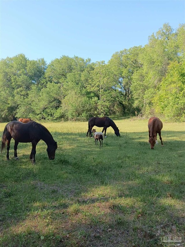 4801 Berryhill Rd, Milton, FL 32570 - view of property's community with a rural view and a lawn