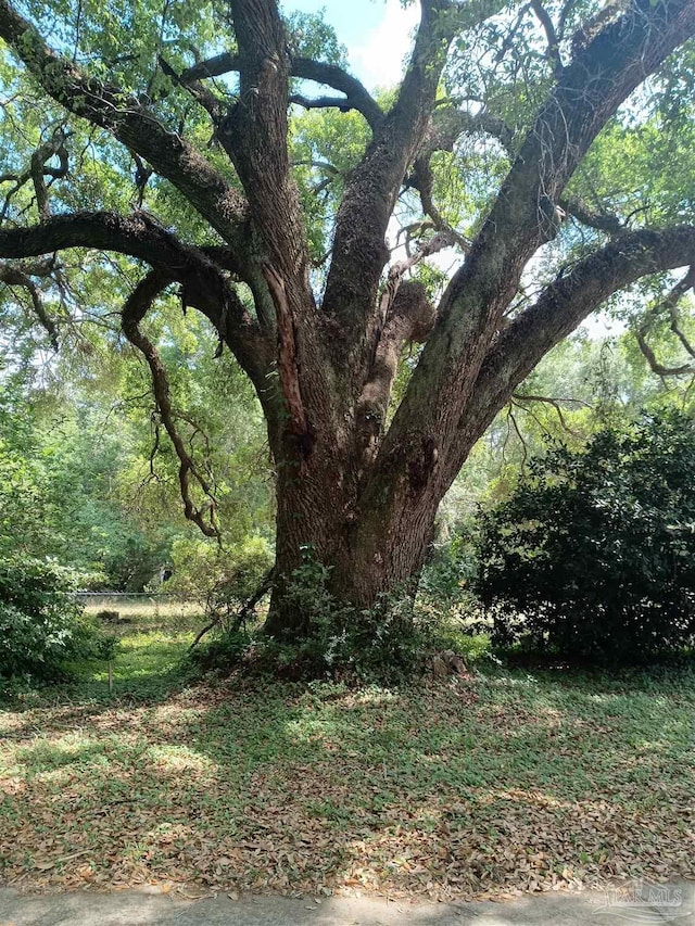 4801 Berryhill Rd, Milton, FL 32570 - view of landscape featuring a view of trees
