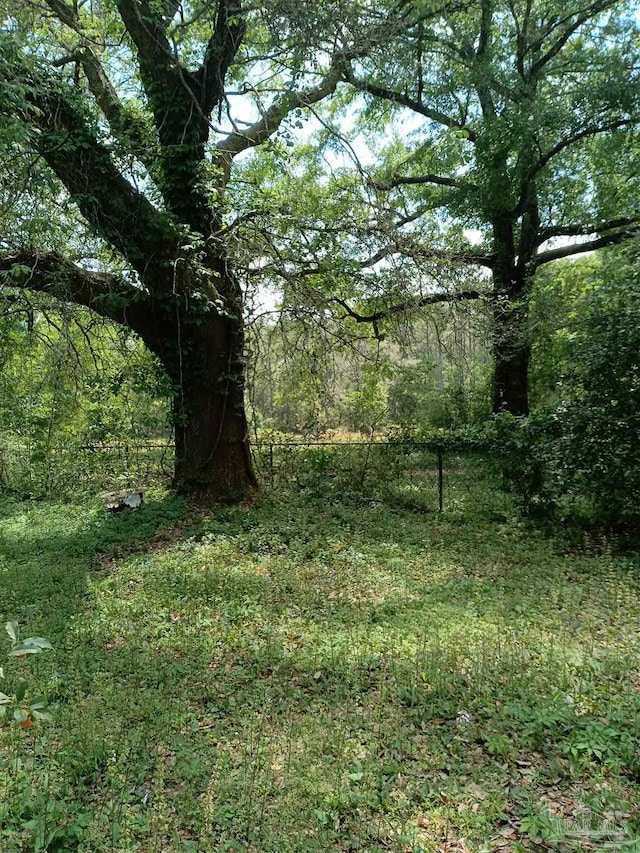 4801 Berryhill Rd, Milton, FL 32570 - view of yard featuring a wooded view
