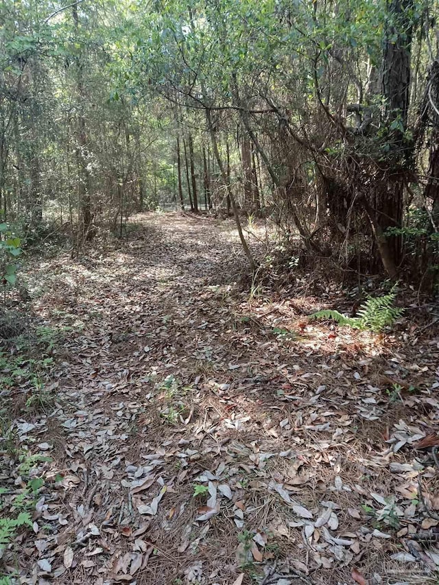 4801 Berryhill Rd, Milton, FL 32570 - view of nature with a forest view
