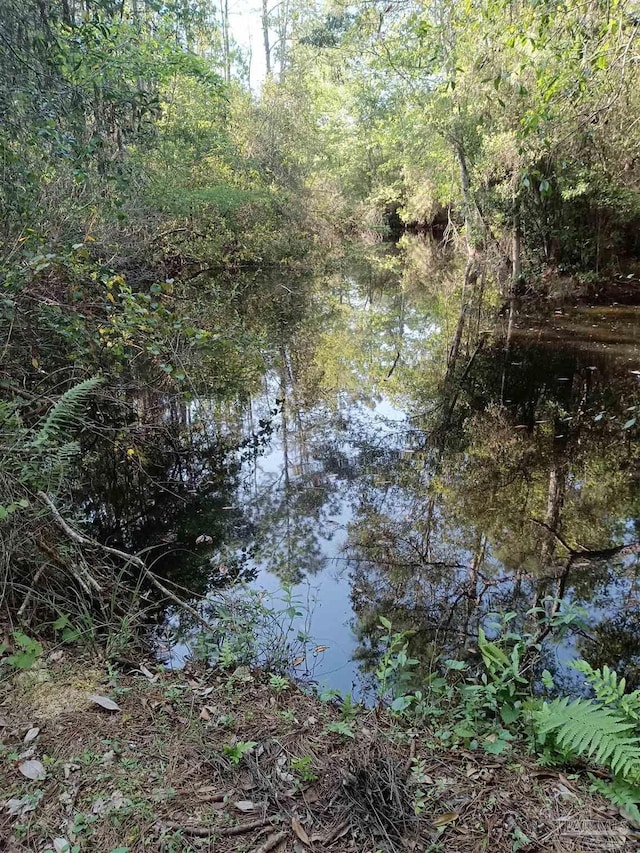 4801 Berryhill Rd, Milton, FL 32570 - view of nature featuring a forest view