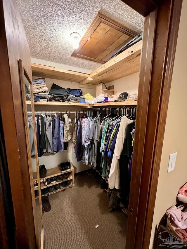 walk in closet with carpet