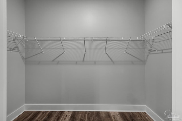walk in closet with dark wood-style flooring