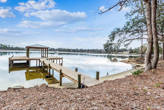 dock area with a water view