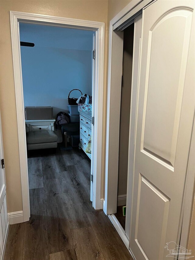 hall featuring dark hardwood / wood-style floors