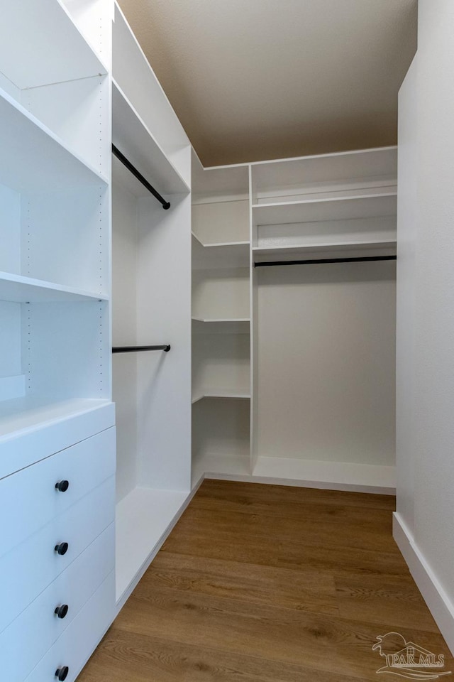 walk in closet with hardwood / wood-style flooring