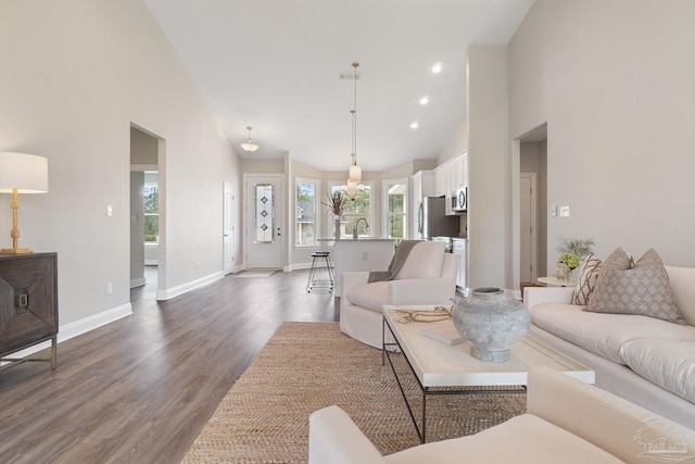 living room with sink, high vaulted ceiling, plenty of natural light, and hardwood / wood-style floors