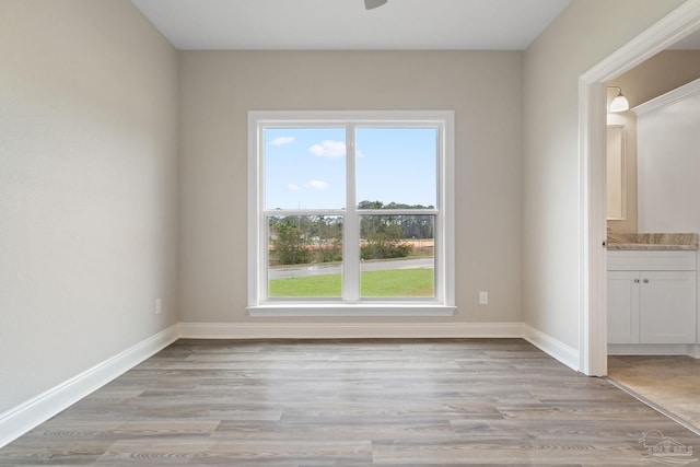 empty room featuring light hardwood / wood-style flooring