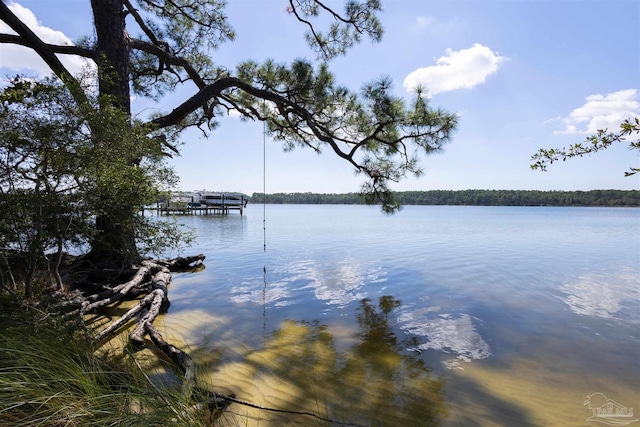 water view with a dock