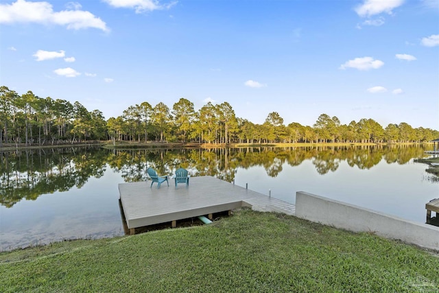 view of dock featuring a yard and a water view