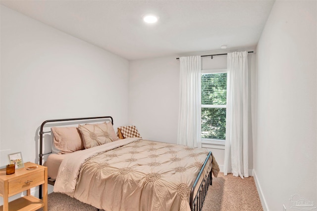 bedroom featuring carpet