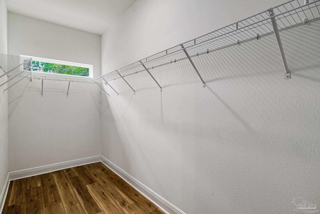 spacious closet featuring hardwood / wood-style flooring