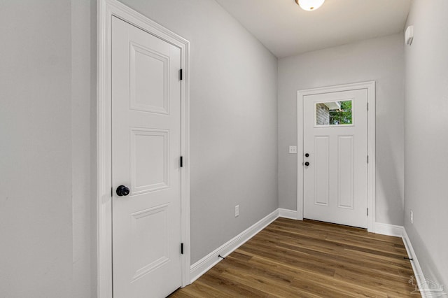 foyer featuring wood-type flooring