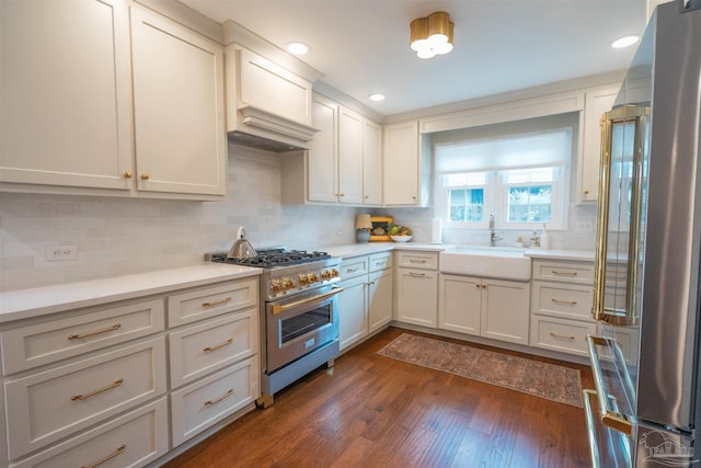 kitchen with sink, white cabinets, dark hardwood / wood-style floors, and premium appliances