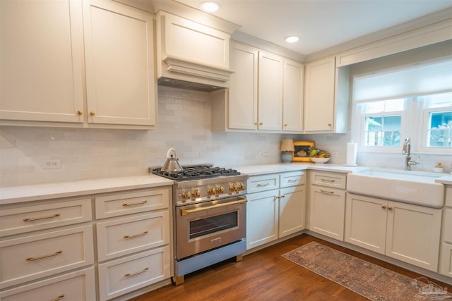 kitchen featuring backsplash, dark hardwood / wood-style floors, sink, and high end stainless steel range oven