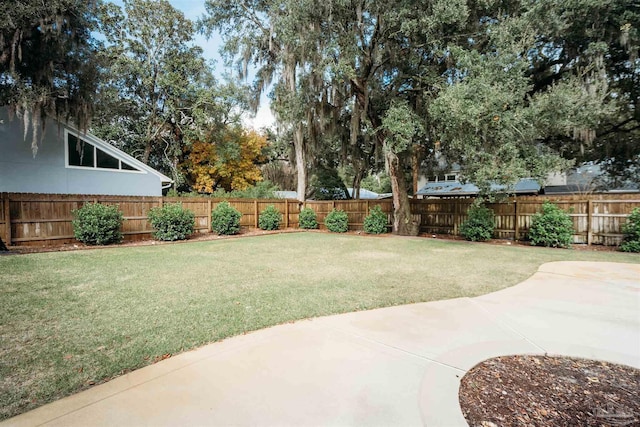 view of yard with a patio