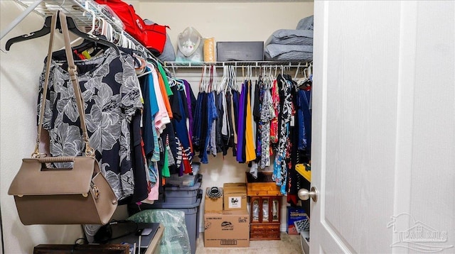 1462 Camrose Pl, Pensacola, FL 32534 - view of walk in closet
