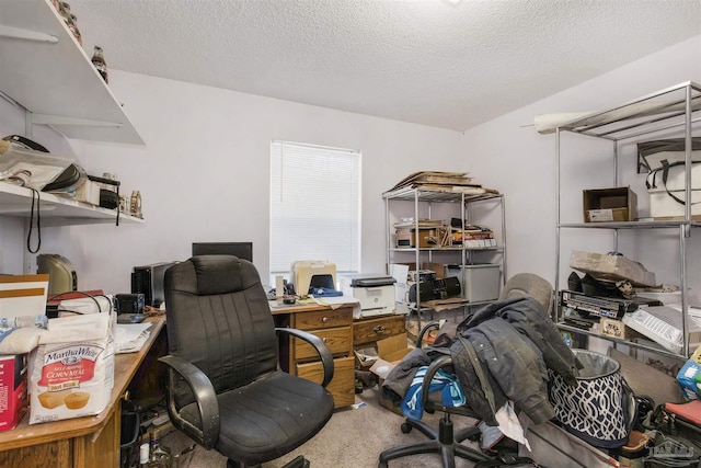 carpeted home office featuring a textured ceiling