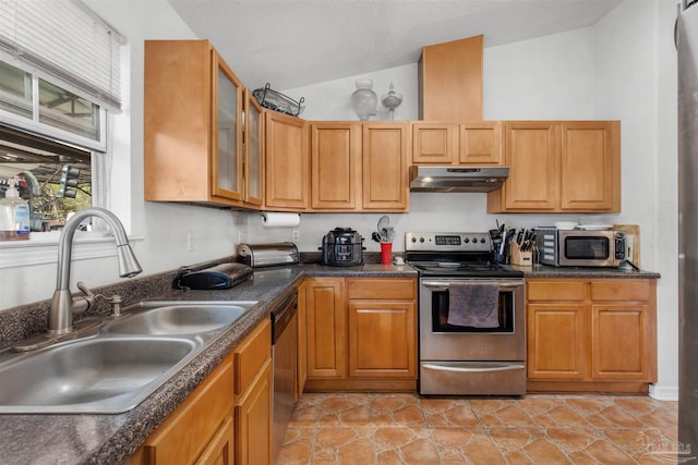 kitchen with vaulted ceiling, appliances with stainless steel finishes, and sink