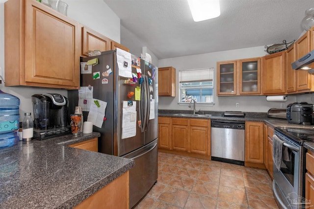 kitchen featuring ventilation hood, appliances with stainless steel finishes, sink, and a textured ceiling