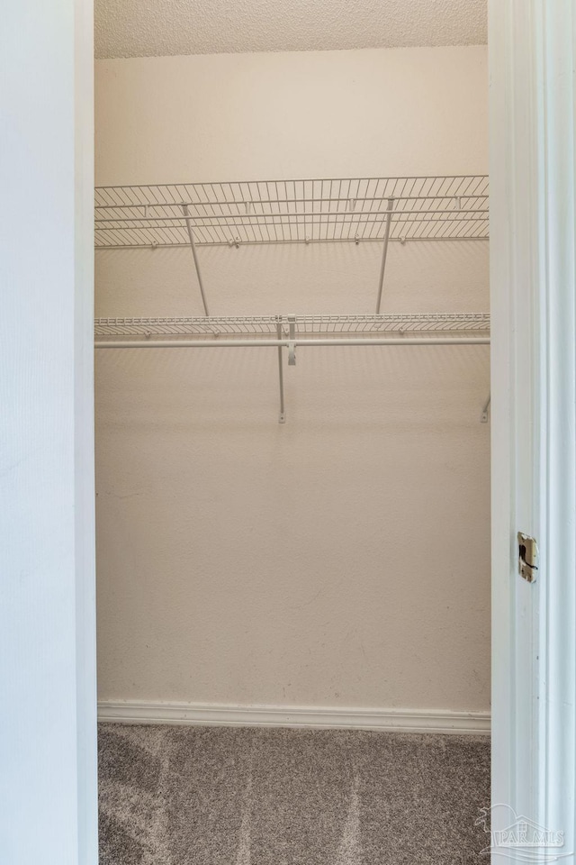 6027 Dallas Ave, Pensacola, FL 32526 - spacious closet with carpet flooring