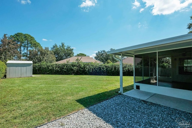 view of yard featuring a patio and a storage unit