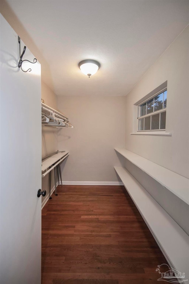 walk in closet with dark wood-type flooring