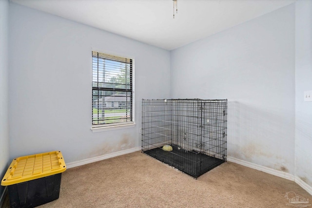 6819 Old W Ln, Milton, FL 32570 - unfurnished bedroom with carpet flooring and baseboards